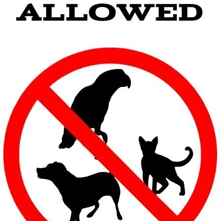 - Baltic Uzdrowiskowa 36-40 Świnoujście